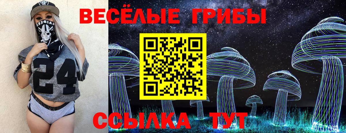 Галлюциногенные грибы GOLDEN TEACHER Лесозаводск